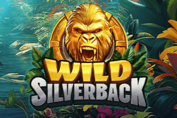 Wild Silverback på ett nätcasino